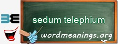 WordMeaning blackboard for sedum telephium